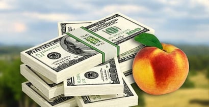 Georgia’s 10 Best Credit Unions of 2014 Georgia’s 10 Best Credit Unions of 2014