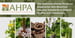 The American Herbal Products Association Sets Botanical Industry Standards to Ensure Quality and Consistency