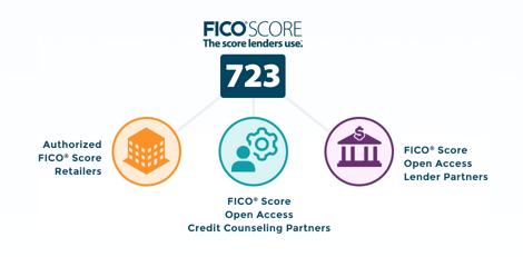 Screenshot of the FICO Website