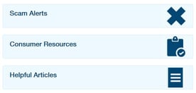 Screenshot of offerings from Cash Advance website Screenshot of offerings from Cash Advance website
