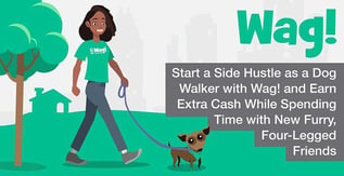 Earn Extra Cash by Becoming a Dog Walker with Wag!