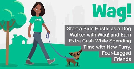 Earn Extra Cash By Becoming A Dog Walker With Wag