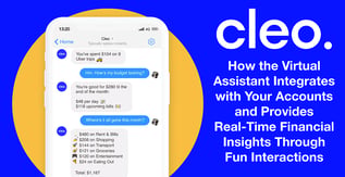 Cleo: A Virtual Assistant for Financial Insights