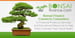 Bonsai Finance Connects Consumers to Financial Products, Services, and Educational Resources to Help Them Cultivate Their Fiscal Health