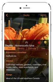 Wild Edibles Forage App Screenshot Wild Edibles Forage App Screenshot