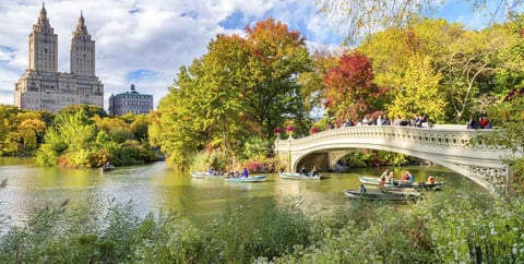 Central Park Central Park