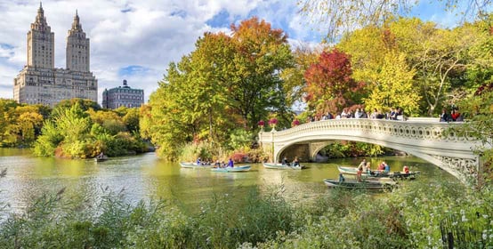 Central Park Central Park
