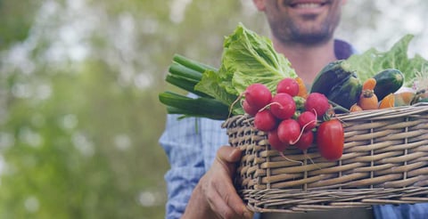 Organic Farmer Holding Vegetables
