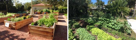 Collage of photos of Edible Landscapes and a yard farm 
