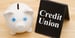 Credit Union Loans for Bad Credit & Alternatives in 2025