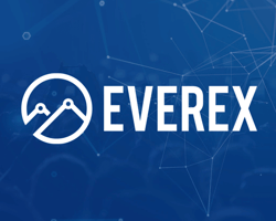 Everex Logo