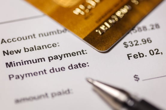 Credit Card and Billing Statement Credit Card and Billing Statement