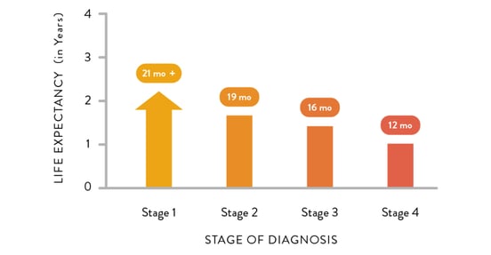 Mesothelioma life expectancy chart Mesothelioma life expectancy chart