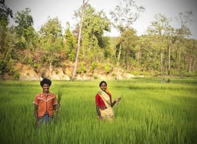 Oxfam India Photo of People in a Field Oxfam India Photo of People in a Field
