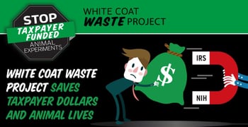 White Coat Waste Project Saves Taxpayer Dollars and Animal Lives by Exposing and Ending Wasteful Testing White Coat Waste Project Saves Taxpayer Dollars and Animal Lives by Exposing and Ending Wasteful Testing