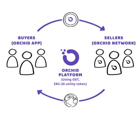 Graphic of Orchid ecosystem Graphic of Orchid ecosystem