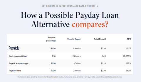 Screenshot of Possible Payday Loan Example
