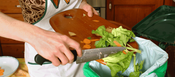 Food Waste