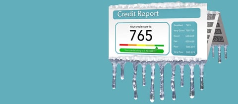Freeze Credit Reports