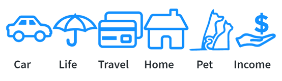 Insurance Graphic Insurance Graphic