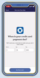 Realworld Credit Card Due Screenshot Realworld Credit Card Due Screenshot