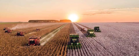 Photo of farmers harvesting grain