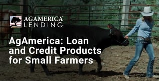 AgAmerica: Loan and Credit Products for Small Farmers