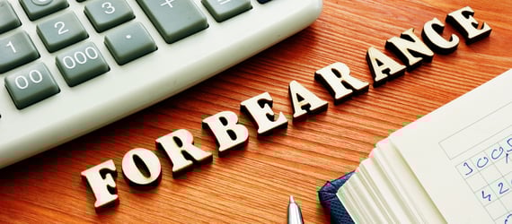 Loan Forbearance Options.