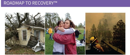 Screenshot from United Policyholders website