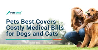 Pets Best Covers Costly Medical Bills for Dogs and Cats