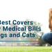 Pets Best Covers Costly Medical Bills for Dogs and Cats with Affordable Insurance Plans
