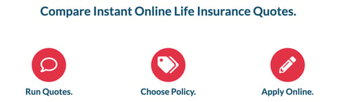 Screenshot from Local Life Agents website