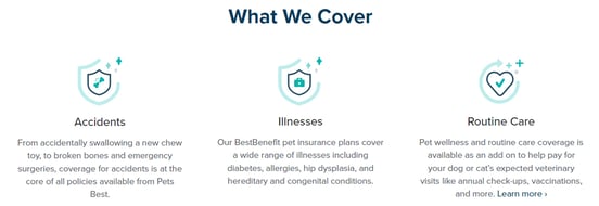 Pets Best Insurance covers accidents, illnesses, and routine care Pets Best Insurance covers accidents, illnesses, and routine care