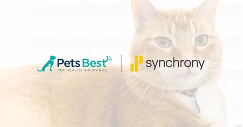 Synchrony logo next to Pets Best logo