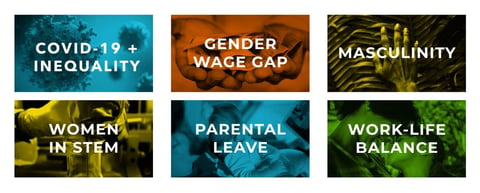 Screenshot from the Institute for Gender and the Economy website