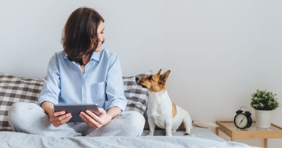 Brunette woman pet sitting a jack russell terrier dog