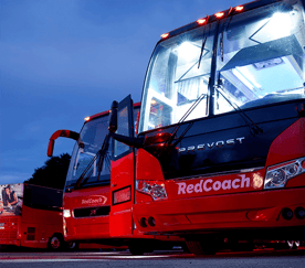Image of RedCoach buses in a line