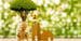 Home Refinance Loans for Bad Credit in 2025