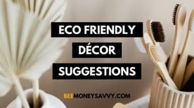 Graphic of Bee Money Savvy eco options
