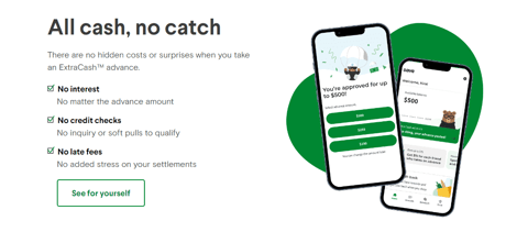Screenshot of Dave features and benefits