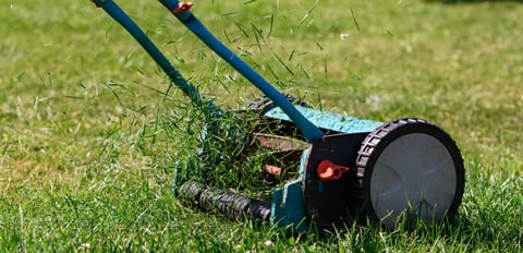 Manual push lawnmower