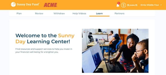 Sunny Day Fund interface graphic