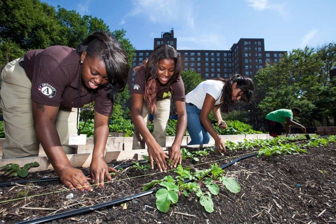 Photo from The Corps Network Green City Force Photo from The Corps Network Green City Force