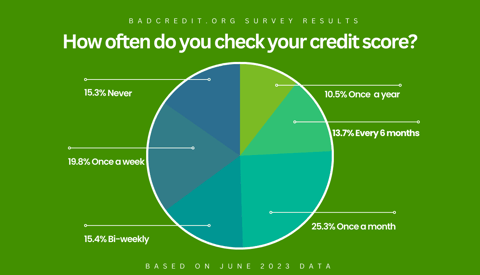 Badcredit.org Survey Results Pie Chart