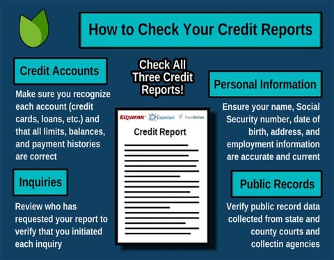 How to check your credit report graphic