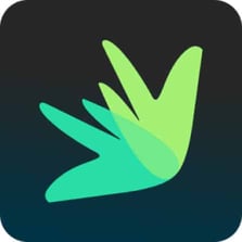 Dovly logo Dovly logo