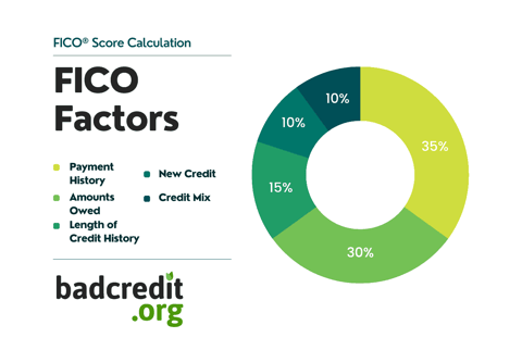 Factors in a FICO Score graphic