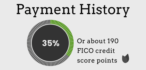 Payment history chart