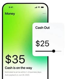 True Finance Cash Advance True Finance Cash Advance