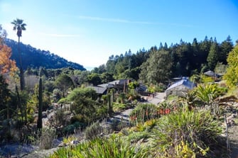 UC Berkeley Botanical Garden